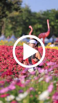 BIB:  <button type="button" onclick="openModal(27588551)" class="btn btn-primary btn-sm float-right" data-toggle="modal" data-target=".modal-high-quality">
                <i class="fa fa-download"></i> Download
                </button>